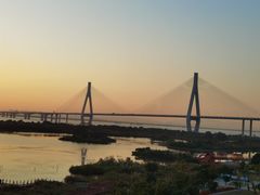 -芒洲湿地公园