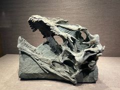 -自贡恐龙博物馆