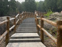 -白水寺森林公园