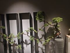 -璞·澐间影院式足道SPA(尚悦湾店)