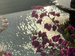 -日落吧·海景咖啡厅·餐酒吧·鸡尾酒·下午茶·乐队表演·浪漫夕阳·三亚文华东方酒店