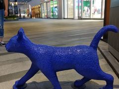 -成都你六姐·牛肉冒菜(城市集市合生汇店)