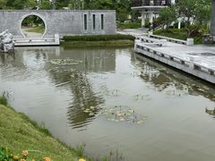 -王借岗森林公园