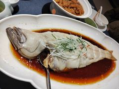 -金狮麟·新豫菜(金码大厦店)