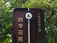 -天鹿湖森林公园