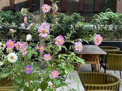 -the rug 飞毯 (朝阳公园店)