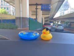 -LINLEE林里·手打柠檬茶(黄浦茂名南路店)