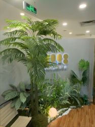 -八佰伴8008星级形象店