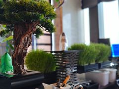 -万达文华酒店·48F云端窗景美食汇自助餐厅