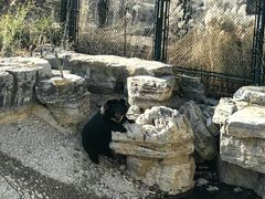 -太原动物园
