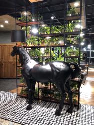 -UPTOP鼎上造型