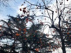 -北京晚报·北京日报社