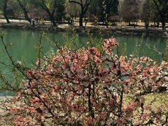 -中国农业大学(西校区)