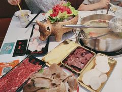 -刘少华贵州小黄牛·鲜牛肉火锅(总店)