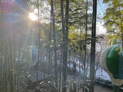 -天目湖山水园