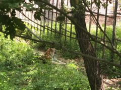 -哈尔滨北方森林动物园