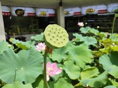 -天怡·鱼工厂(梅溪湖店)