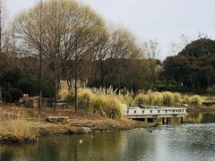 -贡湖湾湿地公园