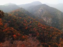 -北京鹫峰国家森林公园