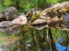 -玉渡山自然风景区