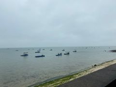 -北海金海湾红树林生态旅游区