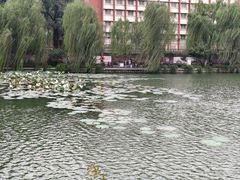 -包公祠