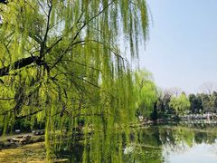 -南阳卧龙岗武侯祠