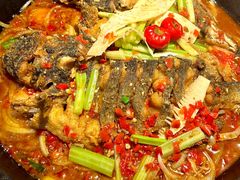 -老板恋上鱼(高新万达店)