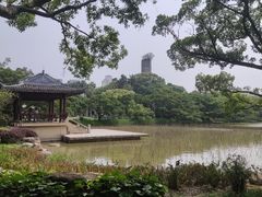 -江心屿景区