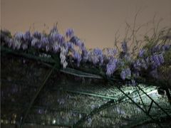 -五台山游泳馆