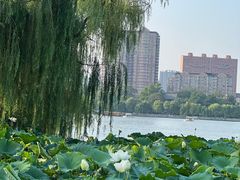 -济南大明湖景区