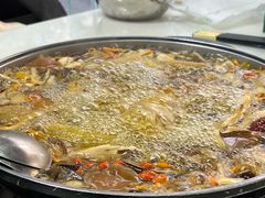 -野菌王•养生汤锅•野生菌火锅(大理漾濞路店)