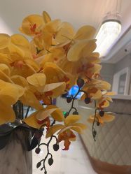 -恒妍医美·韩国定制抗衰中心