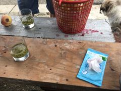 -西山樟坞健康果园枇杷杨梅采摘