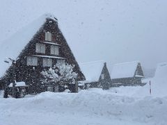 -白川乡与五箇山的合掌构造村落