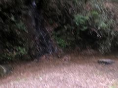 -山沟沟景区
