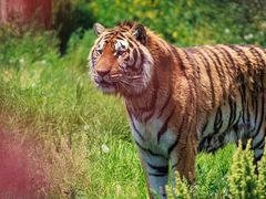 -沈阳森林动物园