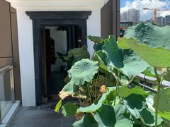 -道南書院·私房菜·早午茶·茶馆