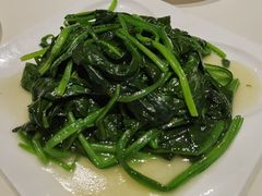 清炒菠菜-衡山汇·高级粤菜(霄云路店)