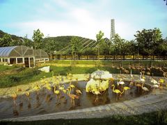 景点-大连森林动物园