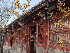-荣国府