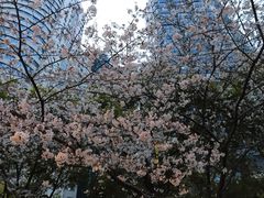 -玛格萝妮比萨屋(四平店)