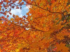 -本溪老边沟风景区