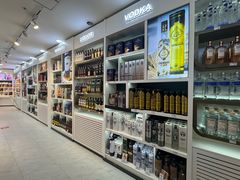 -成吉思汗国际机场