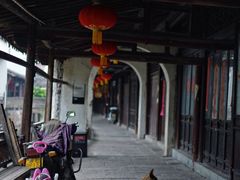 -丝绸小镇荻港古村