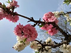 -玲珑塔公园
