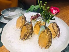手工冰镇鲍鱼-木棉·醉心粤味(COCO Park店)