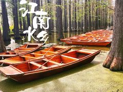 -渌洋湖湿地公园