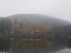-庐山风景区花径公园