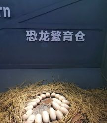 -恐龙探索乐园(磁器口店)